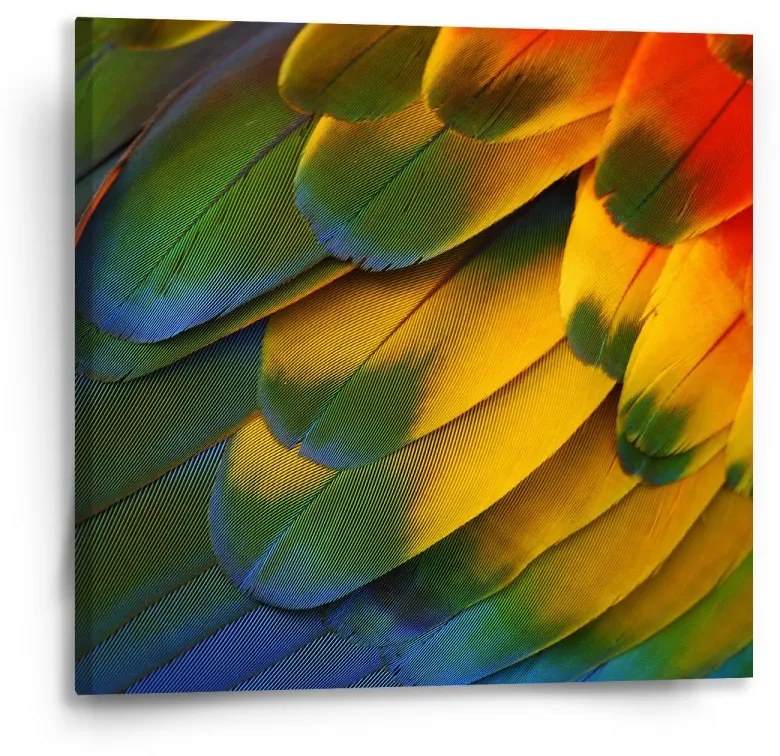 Sablio Obraz Farebné perie - 50x50 cm