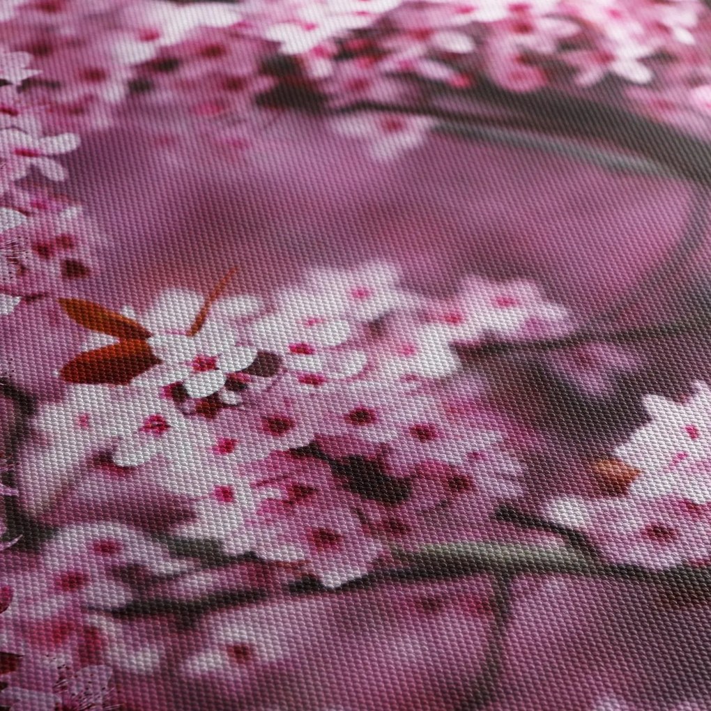 Obraz - Ružová sakura (120x50 cm)