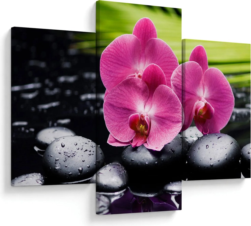 Obraz - Ružové orchidey s palmovým listom (90x60 cm)