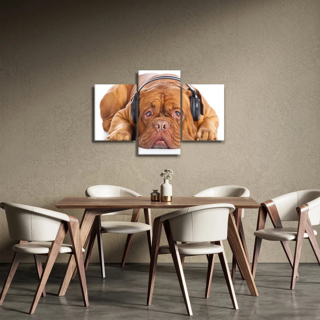 Obraz psa so slúchadlami (90x60 cm)