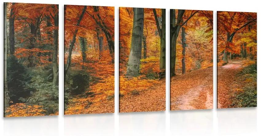5-dielny obraz les v jesennom období Varianta: 100x50