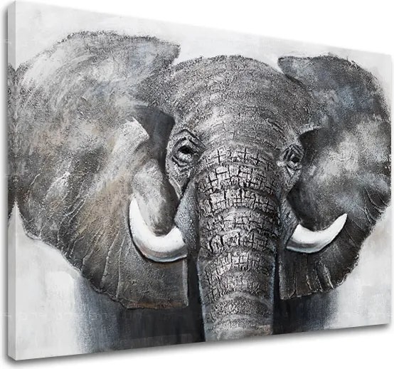 Obraz na plátne SLON