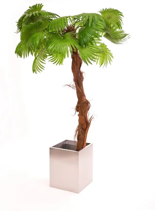 Umelá Washingtonská palma 220cm