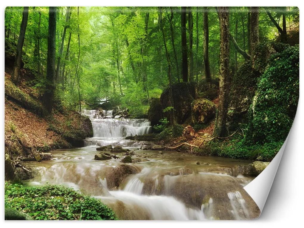 Gario Fototapeta Voda uprostred lesa Materiál: Vliesová, Rozmery: 200 x 140 cm