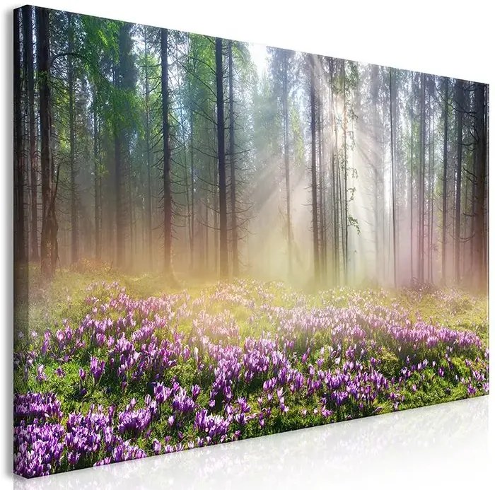 Obraz - Purple Meadow (1 Part) Wide Veľkosť: 120x60, Verzia: Standard