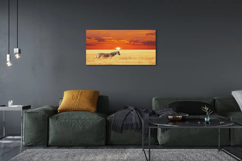 Obraz na plátne Zebra poľa sunset 140x70 cm