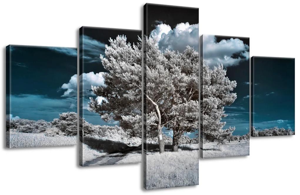 Gario Obraz na plátne Záhadné silné stromy Veľkosť: 100 x 70 cm