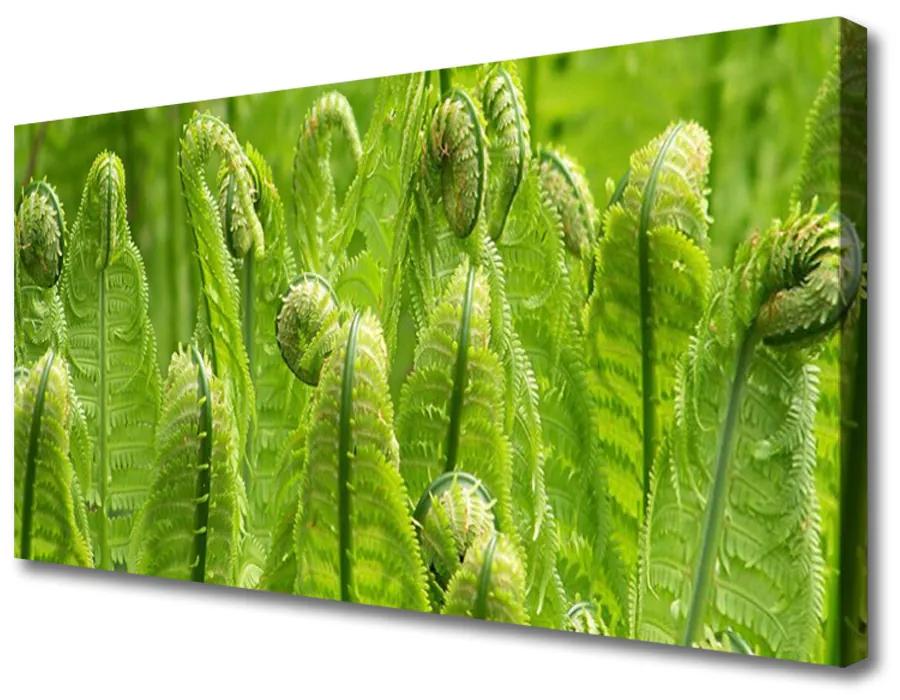 Obraz Canvas Rastlina príroda 125x50 cm