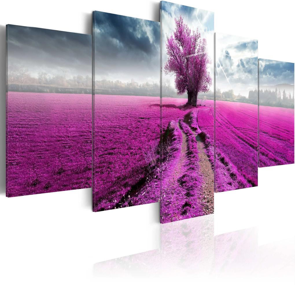 Obraz - Purple Land 100x50