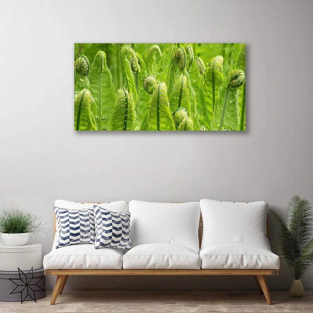 Obraz Canvas Rastlina príroda 140x70 cm