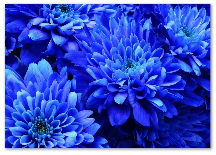 Fotoobraz na skle Modrá astra pl-osh-100x70-f-64208626