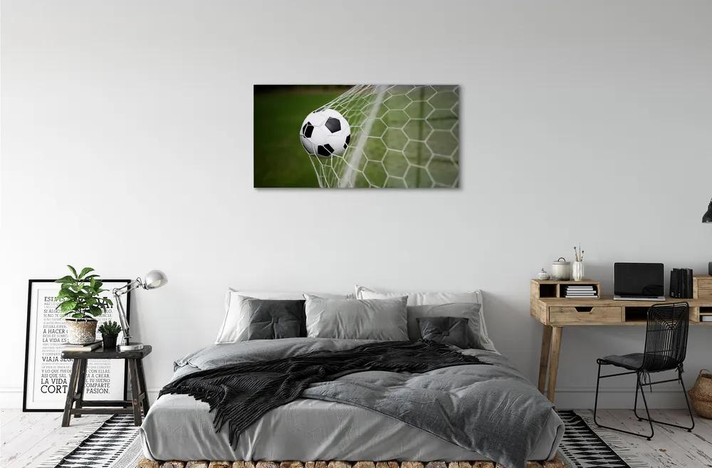 Obraz plexi Futbal 100x50 cm