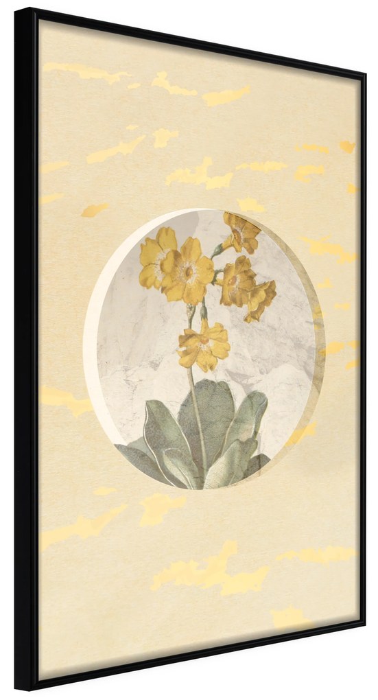 Artgeist Plagát - Flower In Circle [Poster] Veľkosť: 30x45, Verzia: Čierny rám s passe-partout
