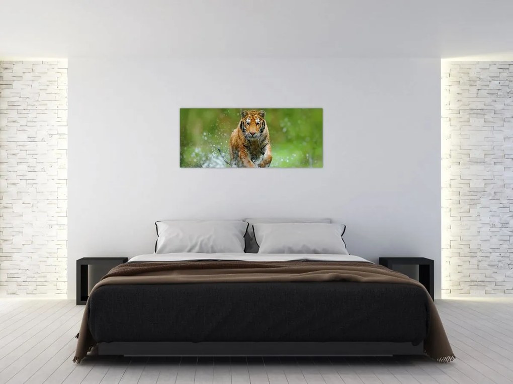 Obraz - Bežiaci tiger (120x50 cm)