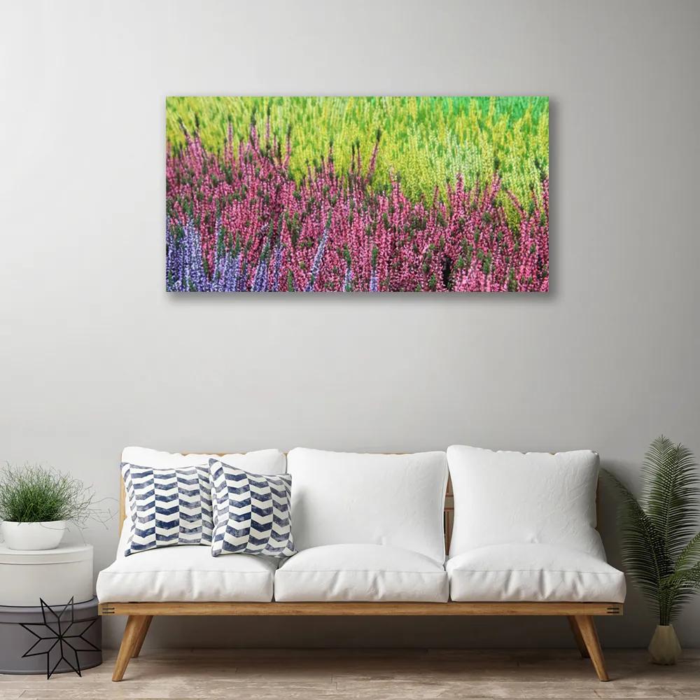 Obraz na plátne Kvet rastlina príroda 120x60 cm