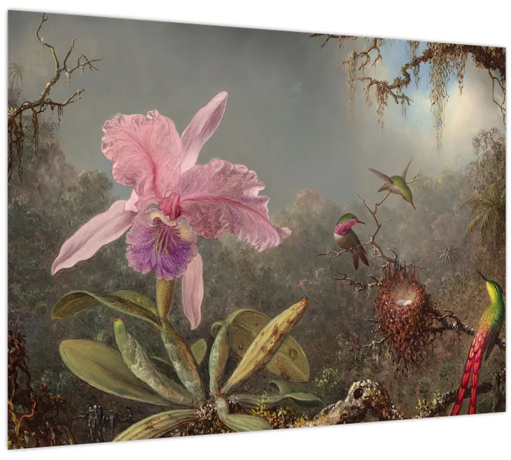 Sklenený obraz - Martin Johnson Heade, Cattleya Orchid and Three Hummingbirds, reprodukcia (70x50 cm)