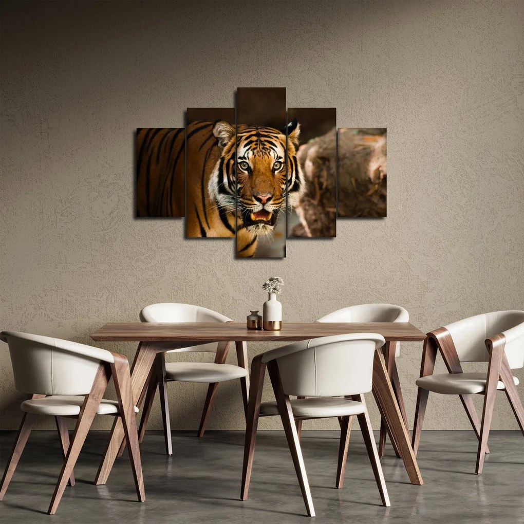 Obraz tigra (150x105 cm)