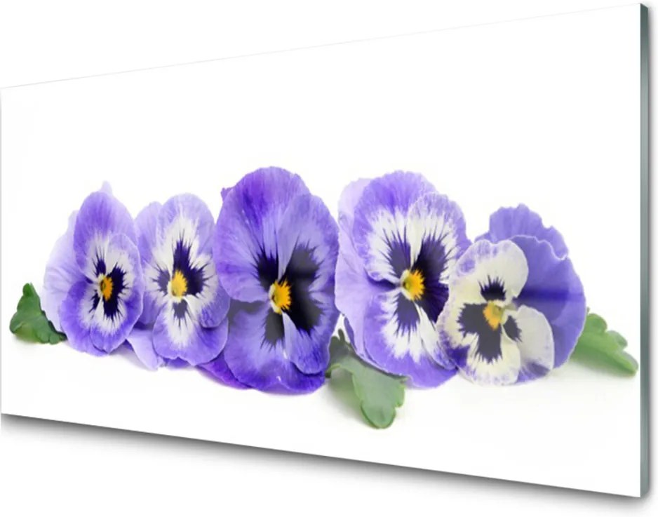 Skleněný obraz Plátky květ macešky