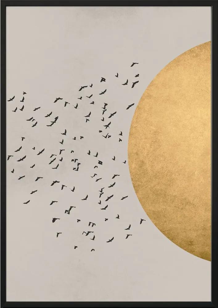 Nástenný plagát v ráme BIRDS/SILHOUTTE, 50 x 70 cm