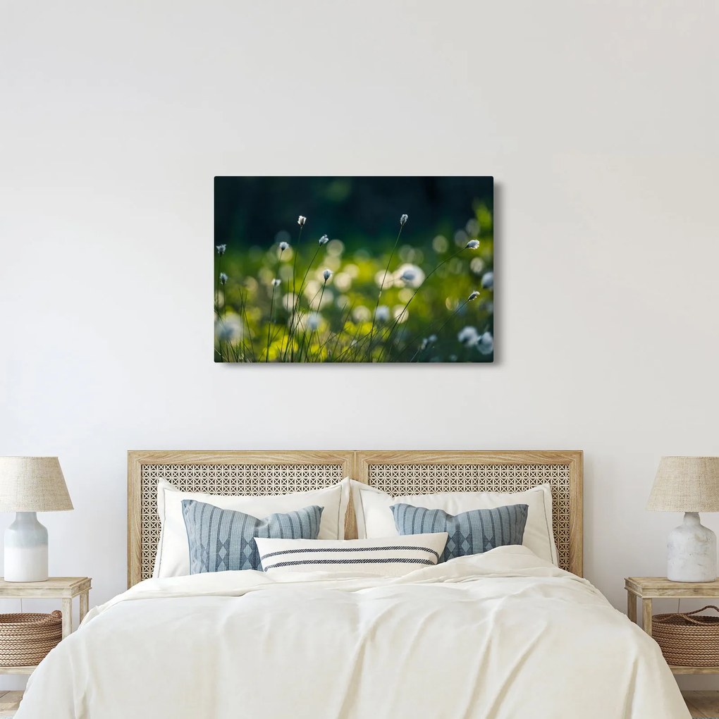 Obraz - Tráva (90x60 cm)