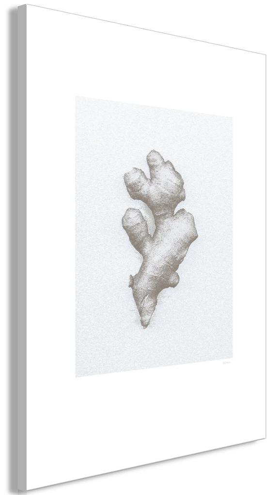 Artgeist Obraz - Ginger (1 Part) Vertical Veľkosť: 20x30, Verzia: Na talianskom plátne