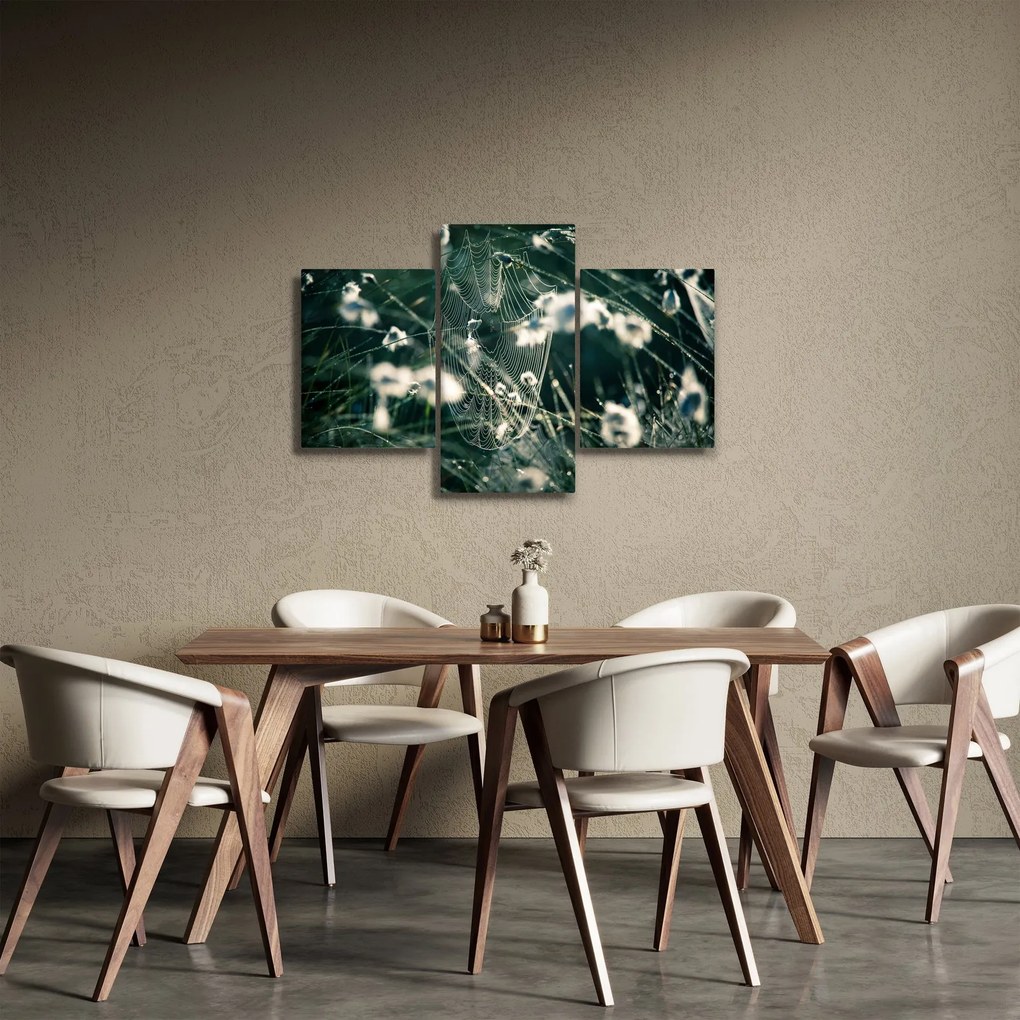 Obraz - Pavučina (90x60 cm)