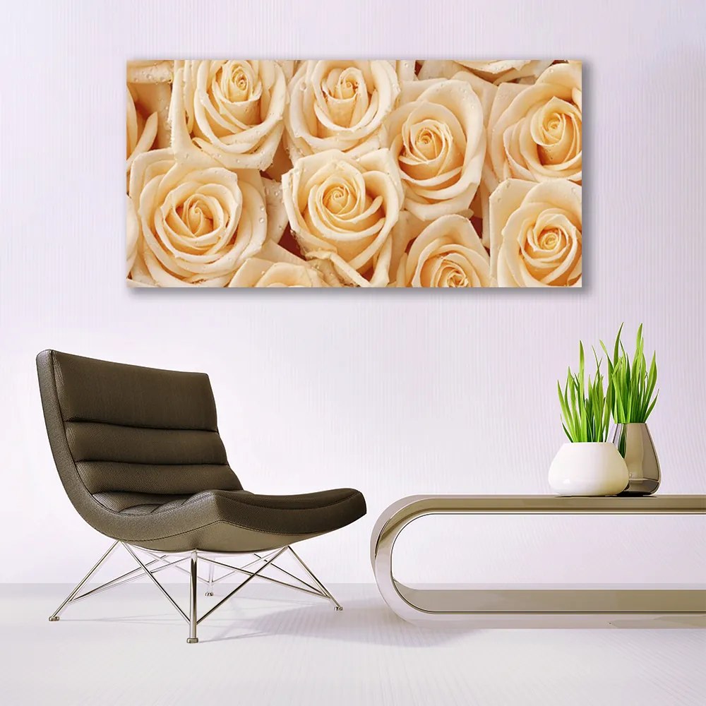 Obraz na akrylátovom skle Ruže kvety rastlina 120x60 cm