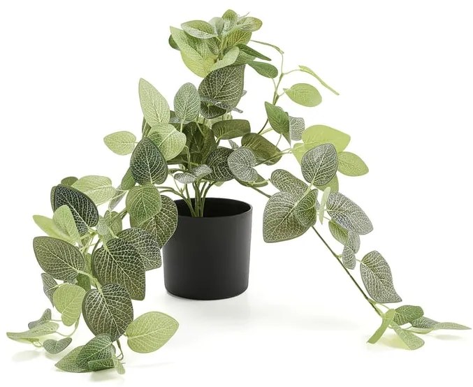 Umelá rastlina EVERGREEN, Dichondra argentea, závesná, dĺžka 600 mm, 1 ks