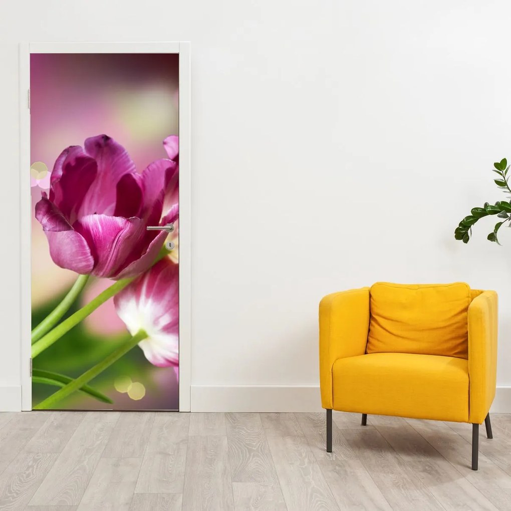 Fototapeta na dvere - Ružové tulipány (95x205cm)