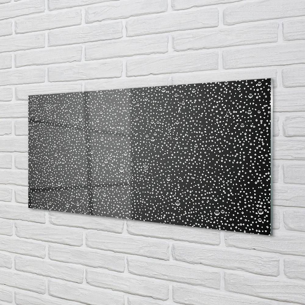 Obraz plexi Rosy kvapky vody 125x50 cm