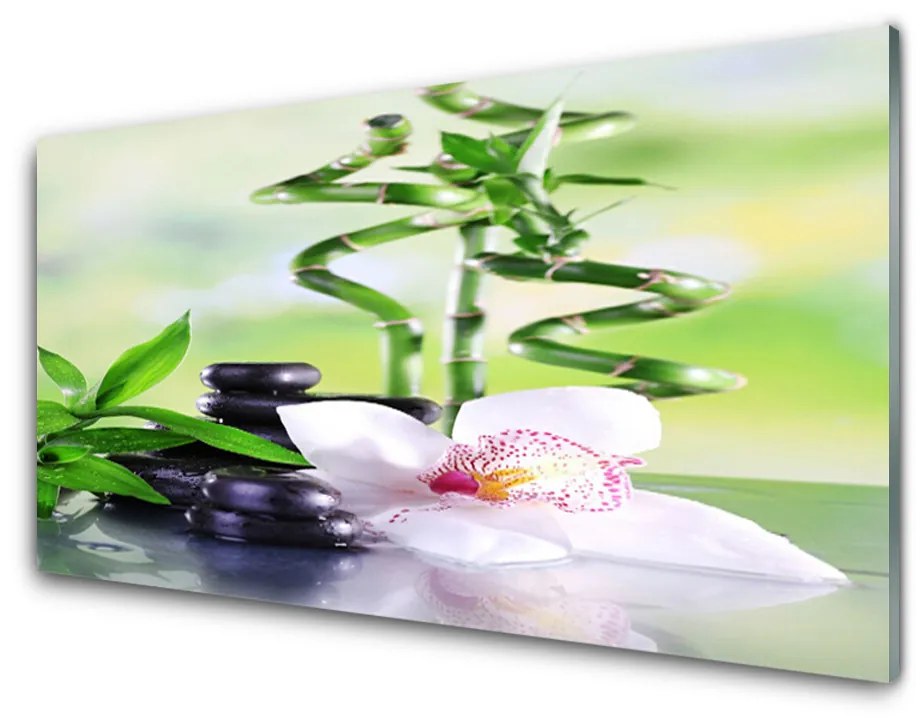 Skleneny obraz Orchidea bambus zen kúpele 100x50cm