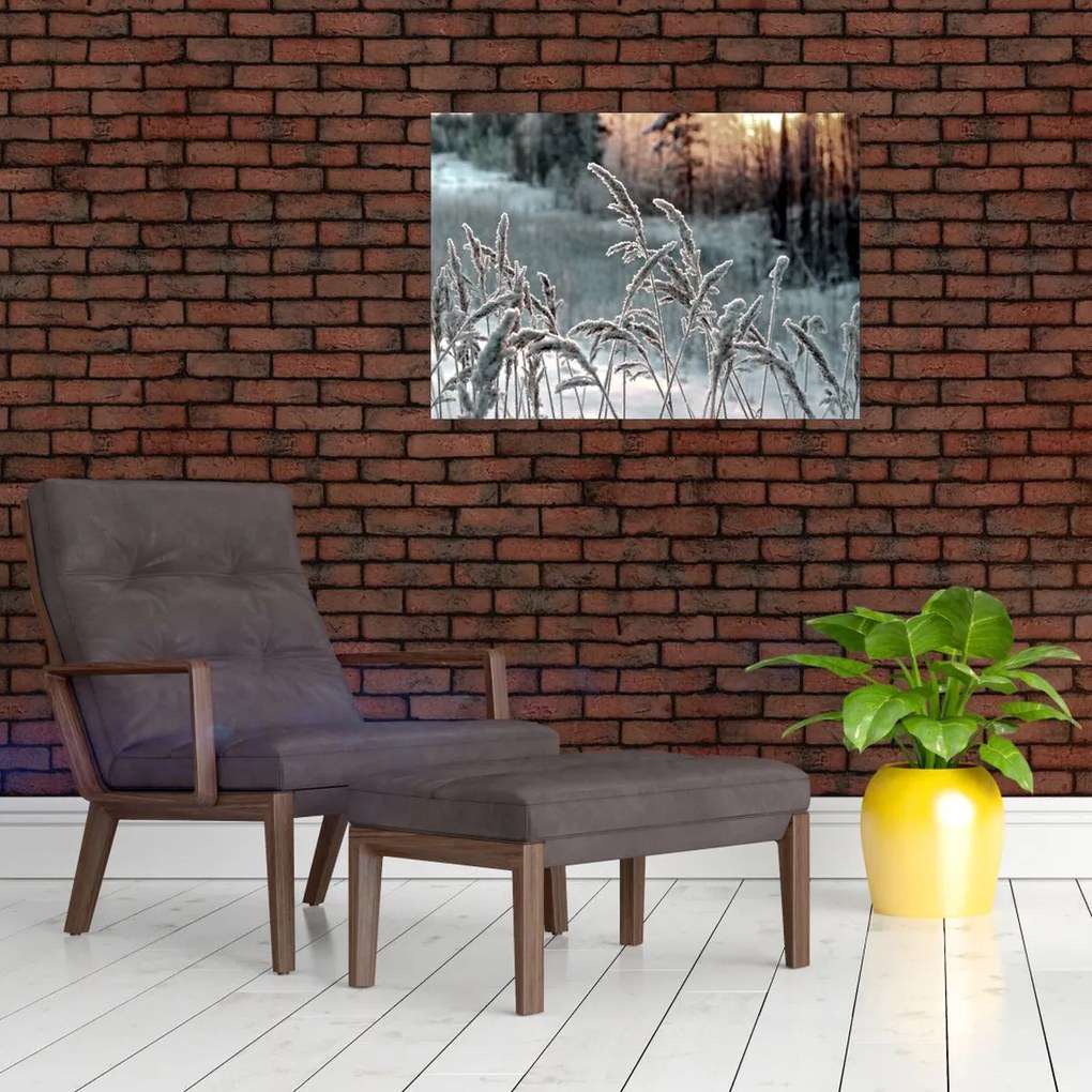 Obraz - Zamrznutá lúka (70x50 cm)