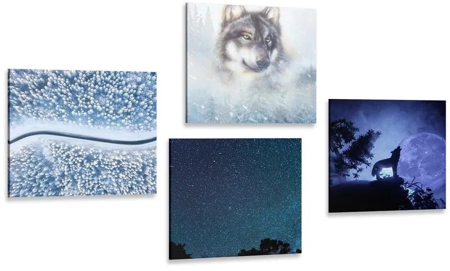 Set obrazov samotársky vlk - 4x 40x40