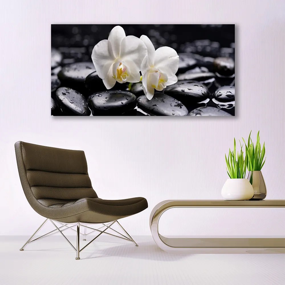 Obraz plexi Kamene zen biela orchidea 120x60 cm