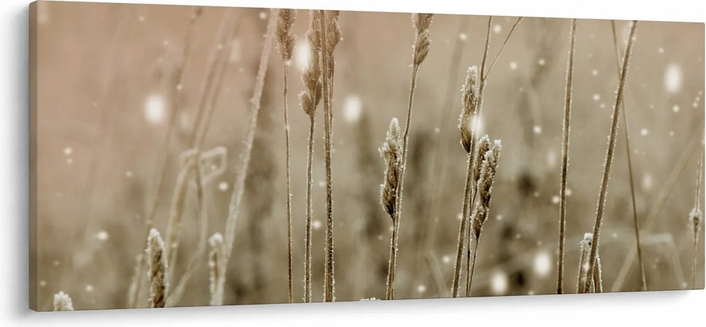 Obraz - Harmonická lúka (120x50 cm)