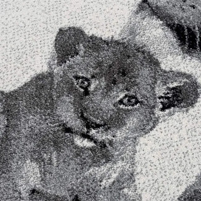 Koberec Savanna 9369 sivý