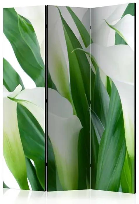 Paraván - bunch of flowers - callas [Room Dividers] Veľkosť: 135x172, Verzia: Jednostranný