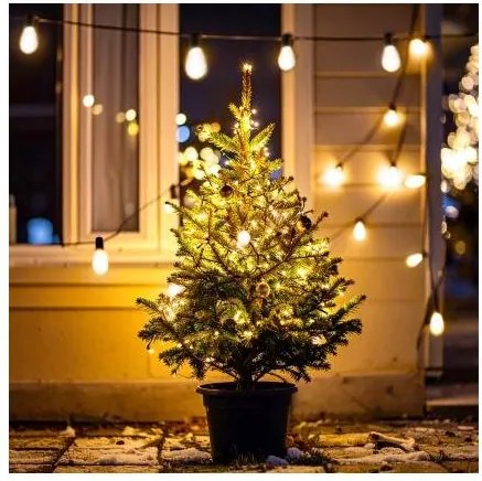 Brilagi - LED vonkajšia girlanda 10xLED/3xAA 3,2m IP44 teplá biela