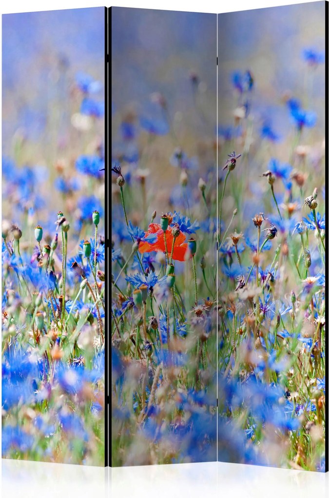 XXXLutz PARAVÁN, 135/172/3 cm artgeist - Zásteny na balkón - 004875044701