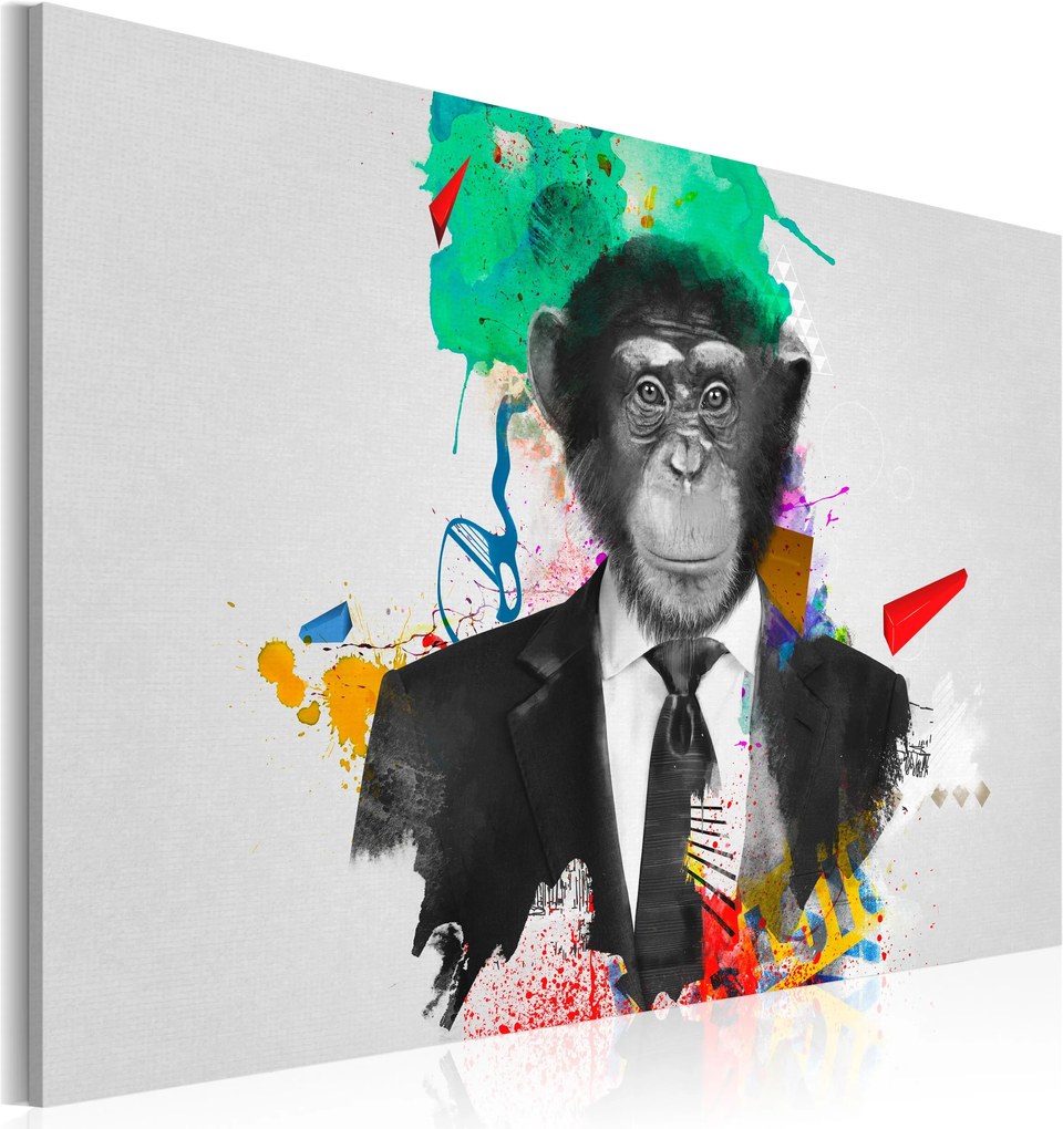 Obraz - Mr Monkey 60x40