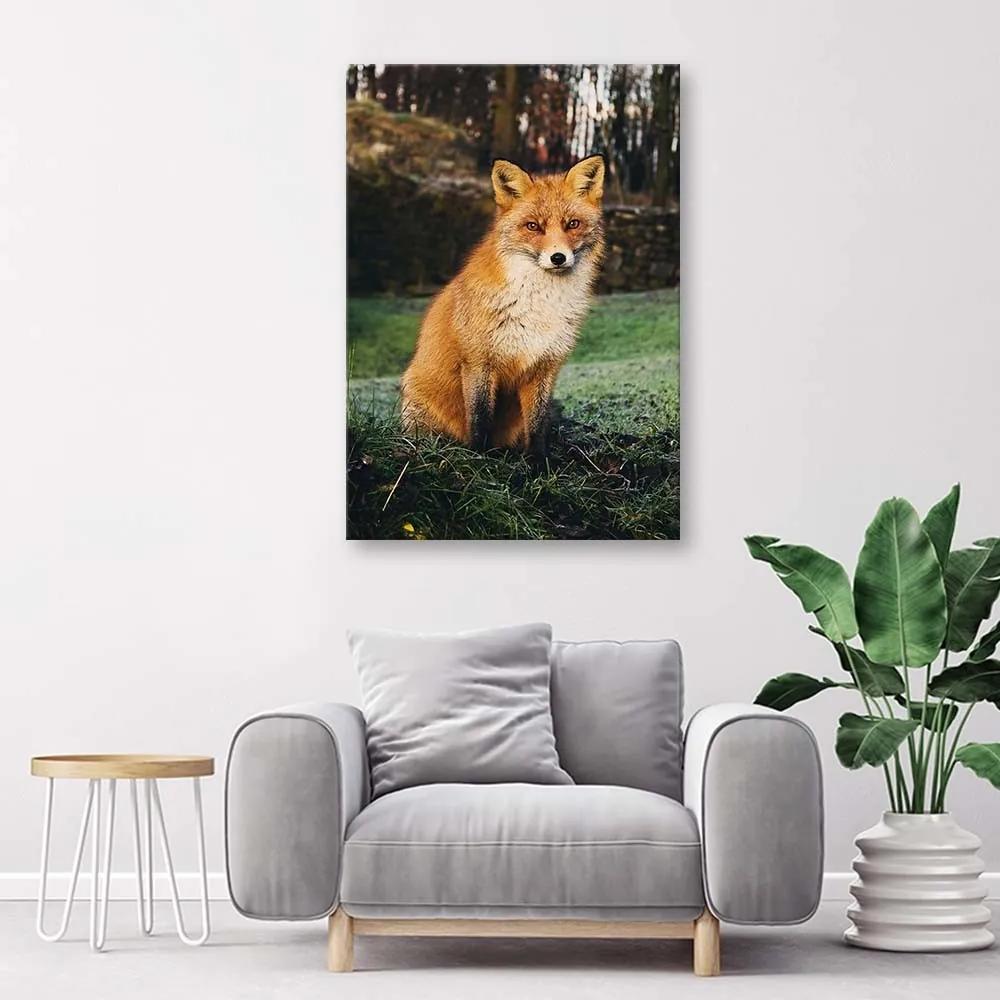 Obraz na plátně Liška Lesní příroda Zvířata - 80x120 cm