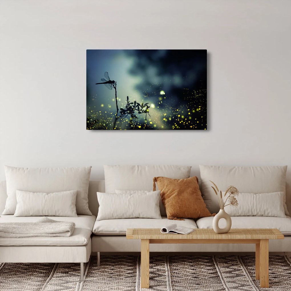 Obraz - Vážka za trblietavej noci (90x60 cm)