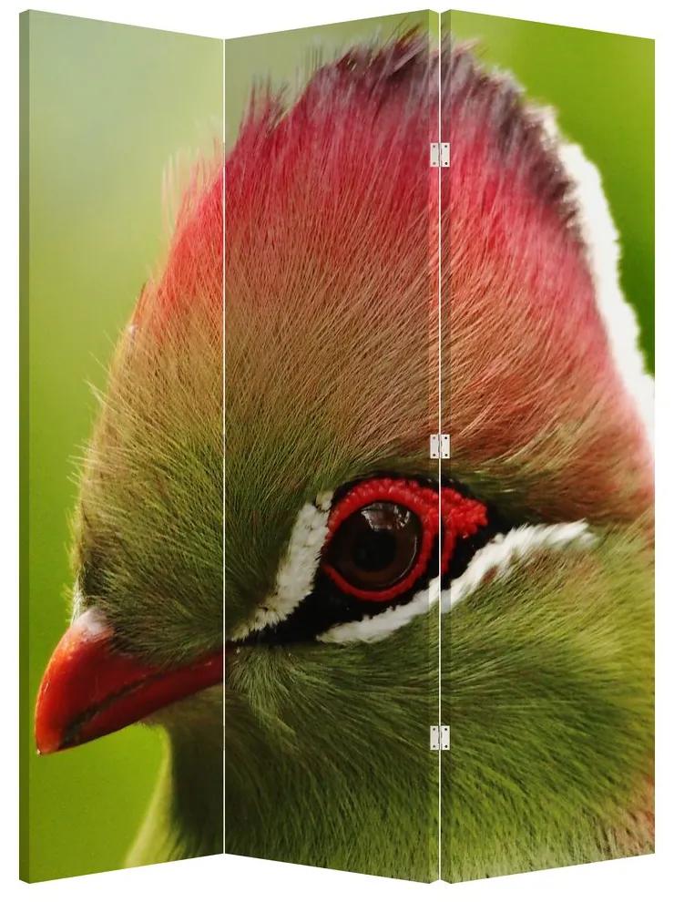 Paraván - Farebný vták (126x170 cm)