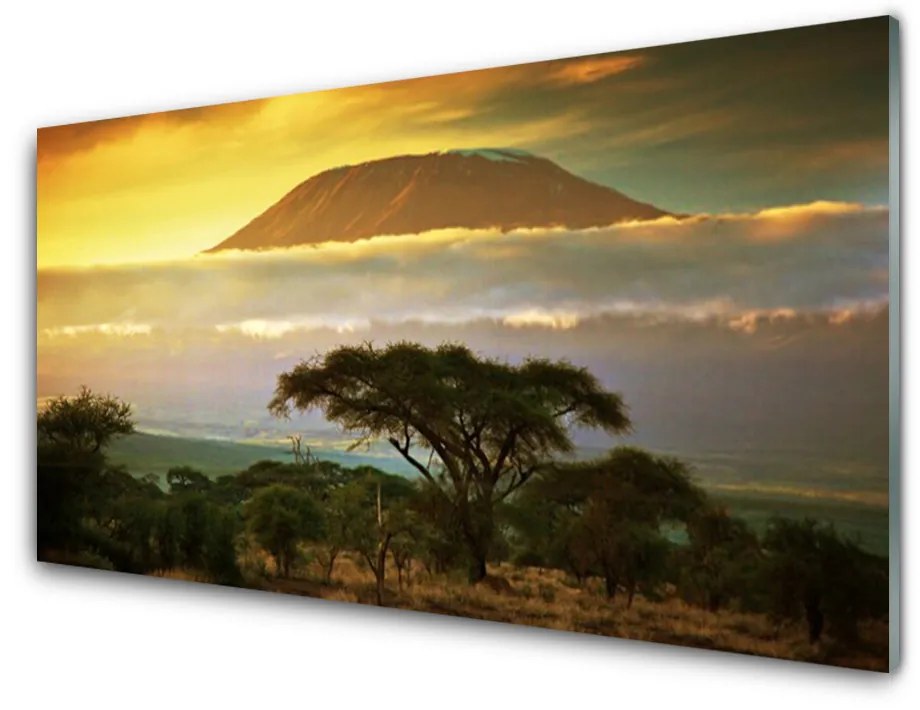 Obraz na akrylátovom skle Strom hory príroda 140x70 cm