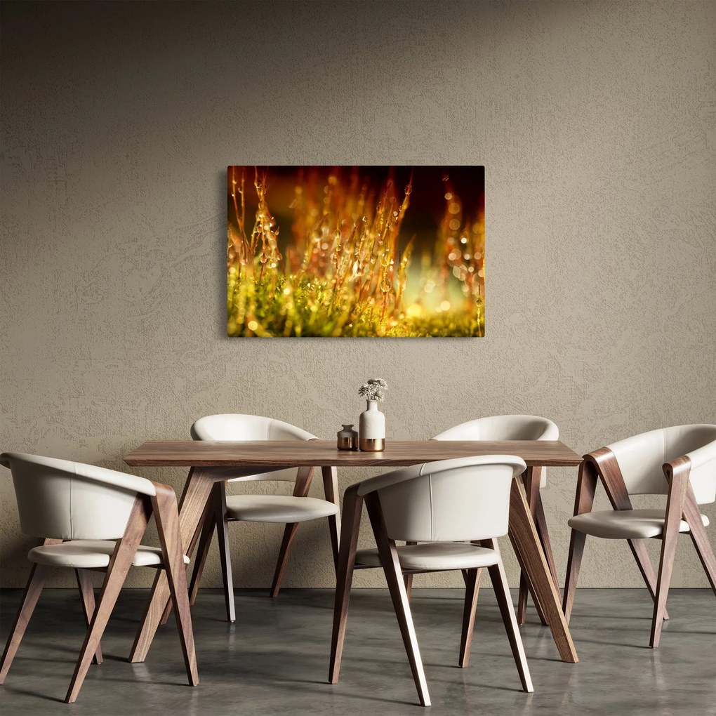 Obraz - Detail rosy (90x60 cm)