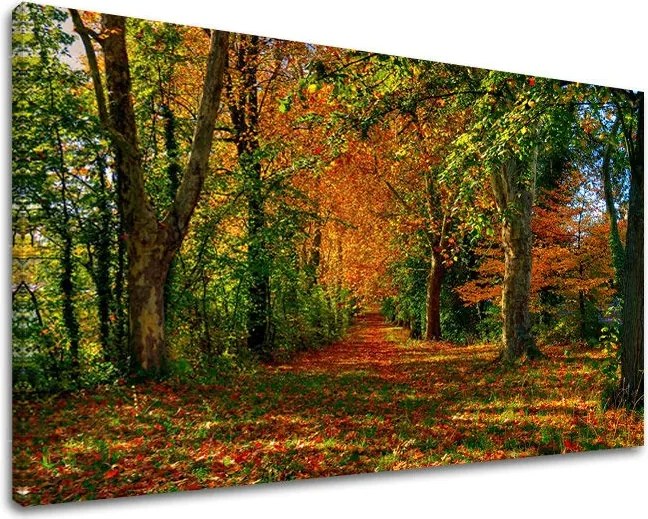 Obraz na stenu STROMY