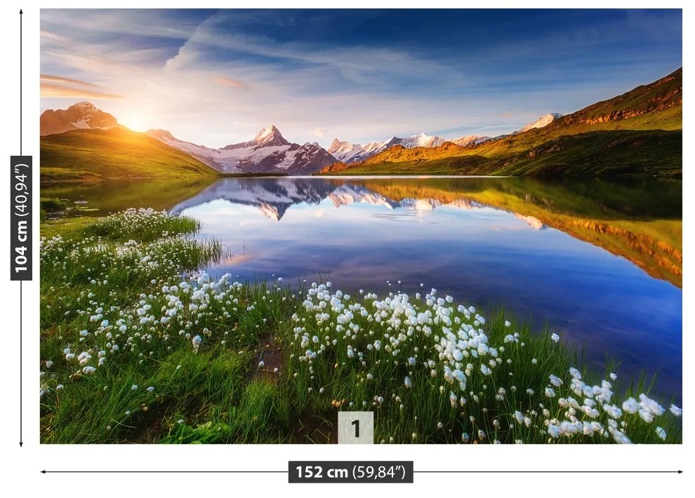 Fototapeta Vliesová Hora schreckhorn 104x70 cm