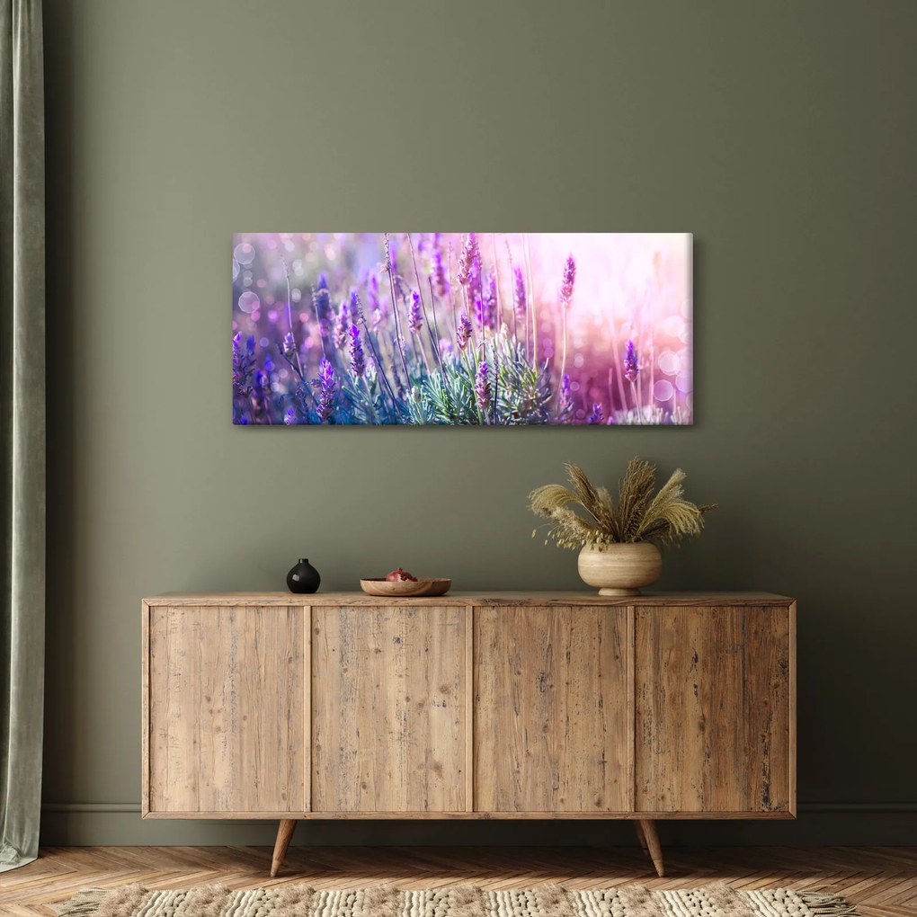 Obraz - Levanduľa vo trblietania slnka (120x50 cm)