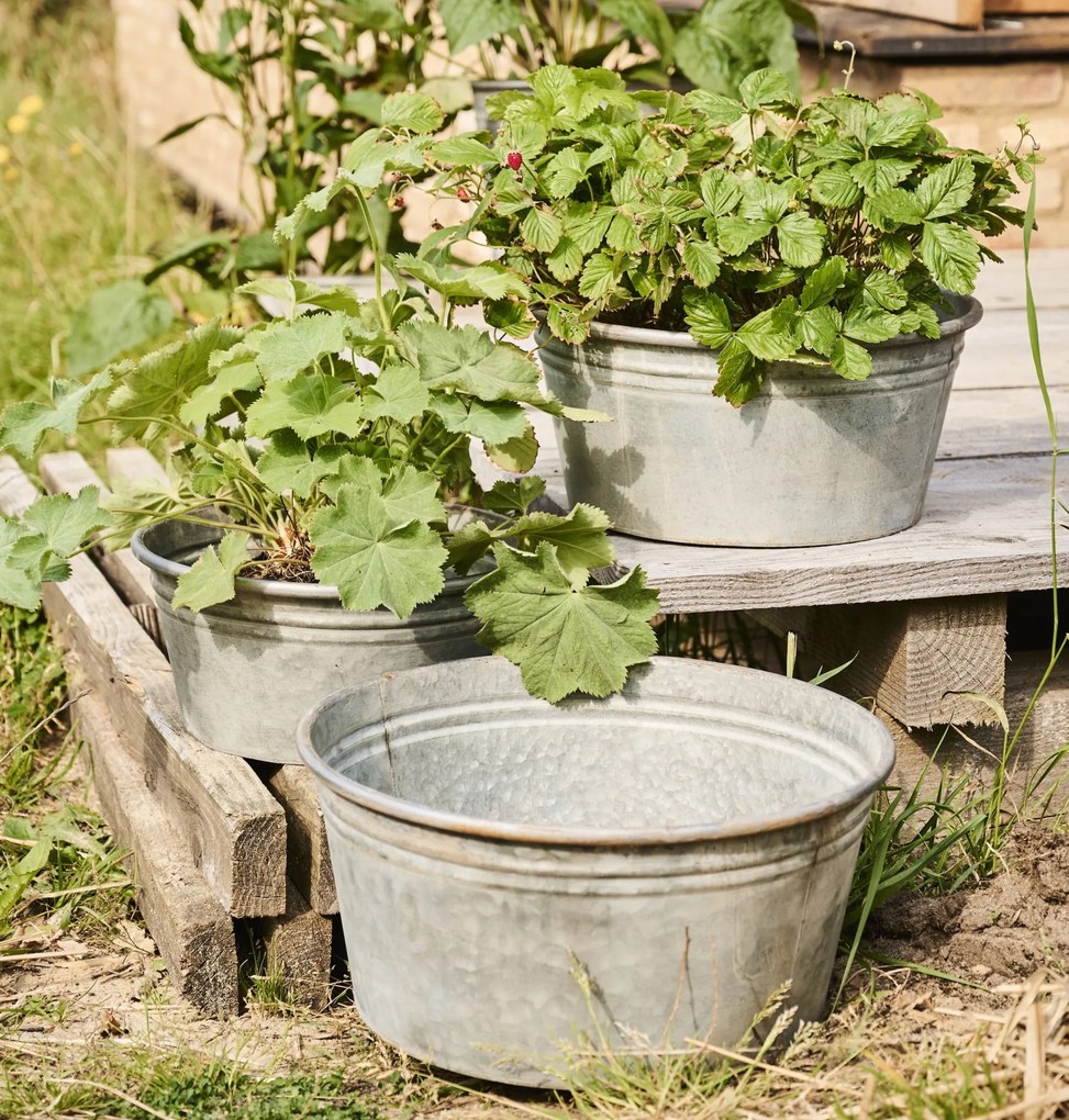 Ib Laursen Plechový obal na kvetiny Conical Urban Garden S