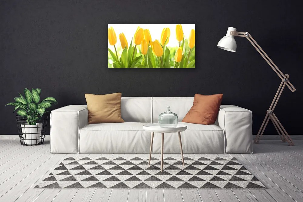 Obraz Canvas Tulipány kvety rastlina 120x60 cm